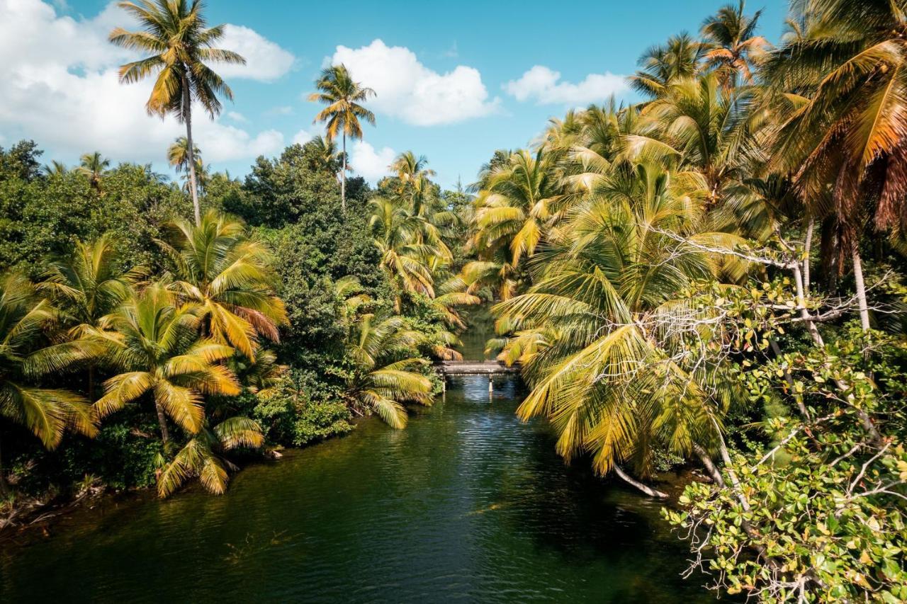 St. Regis Bahia Beach Resort, Puerto Rico Rio Grande Zewnętrze zdjęcie