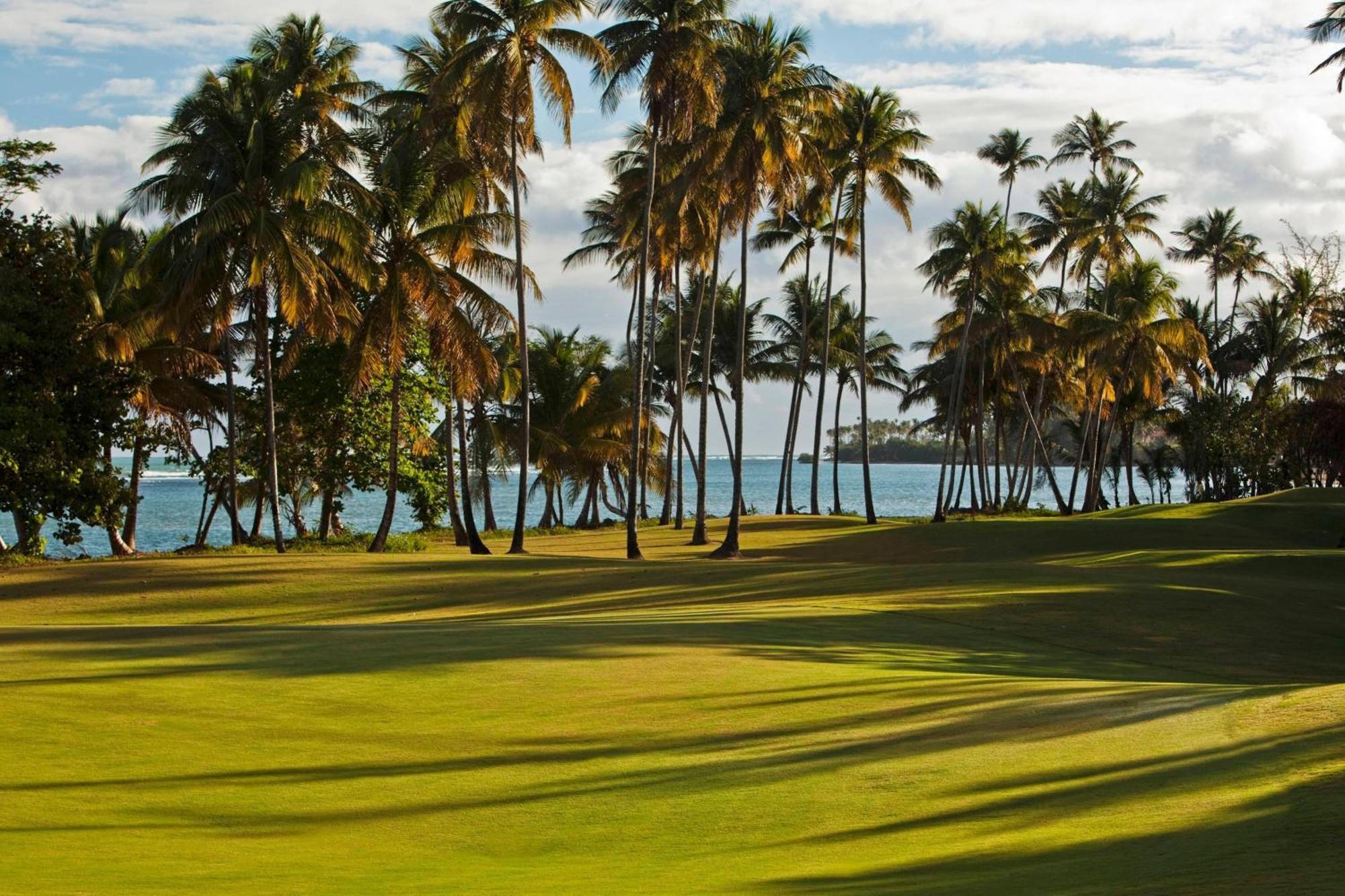 St. Regis Bahia Beach Resort, Puerto Rico Rio Grande Zewnętrze zdjęcie