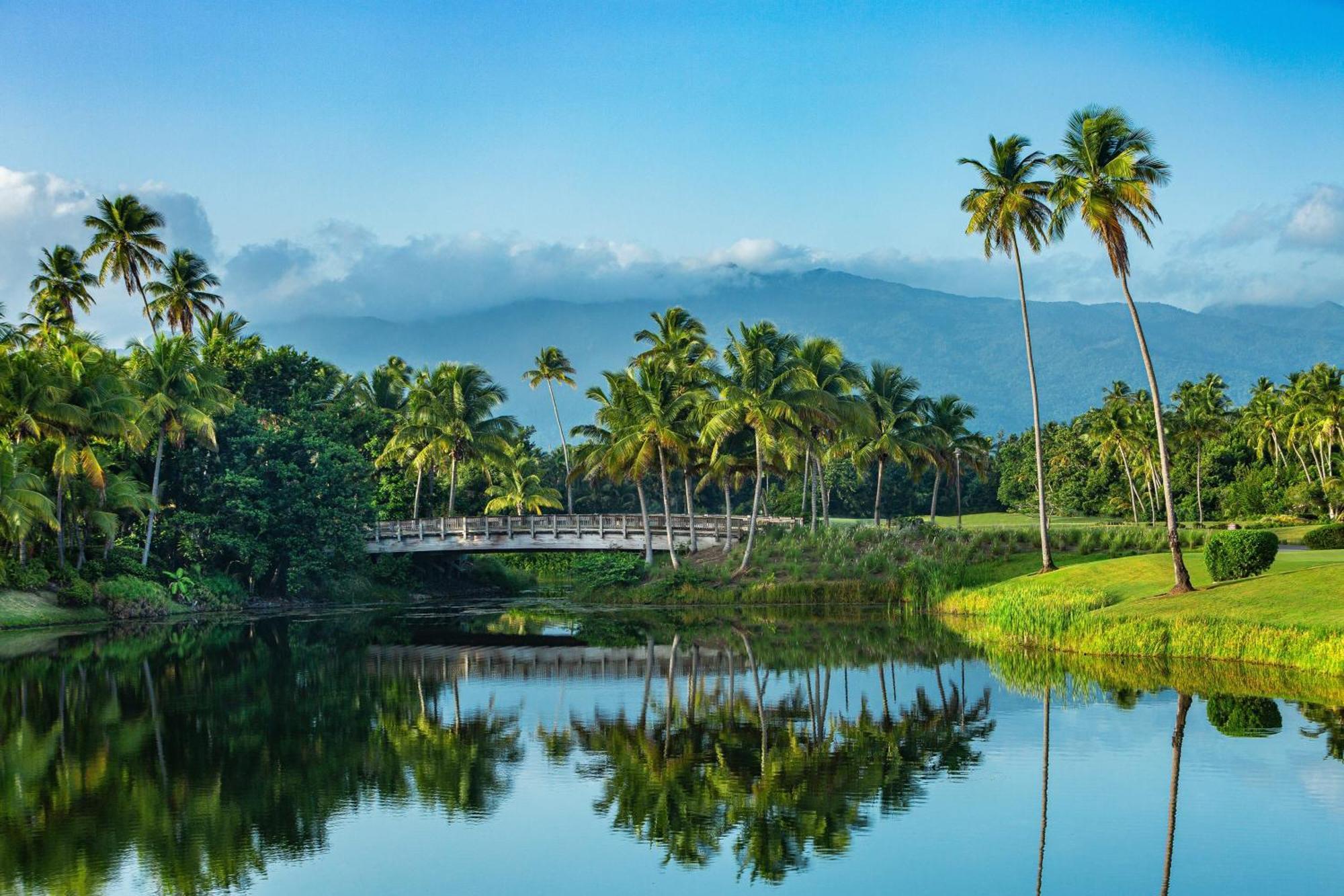 St. Regis Bahia Beach Resort, Puerto Rico Rio Grande Zewnętrze zdjęcie